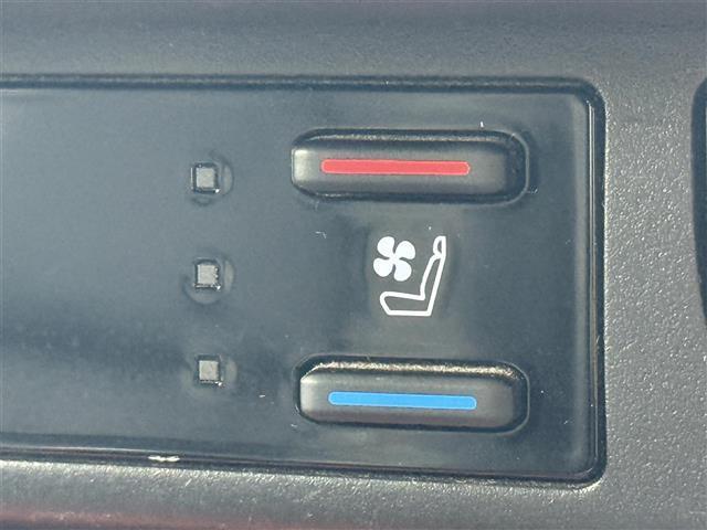 RAV4 アドベンチャー 純正ディスプレイオーディオ レーダークルーズコントロール パノラミックビューモニター バックカメラ パワーバックドア 前後ドライブレコーダー レザーシート シートヒーター ベンチレーション ETC(11枚目)