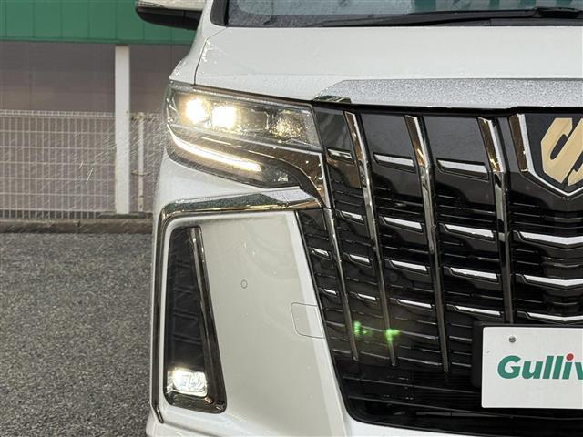 アルファード 2.5S タイプゴールドIII 純正ディスプレイオーディオ AppleCarPlay AndroidAuto フルセグ ツインムーンルーフ デジタルインナーミラー ハーフレザーシート バックカメラ パワーバックドア ETC2.0(42枚目)