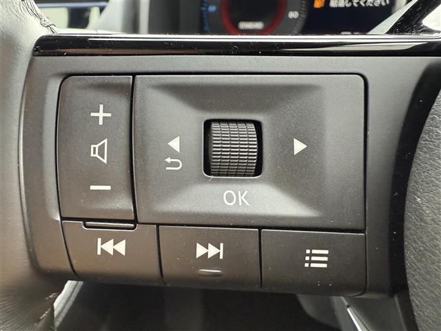 エクストレイル Ｇ　純正ナビ　プロパイロット　バックカメラ　アラウンドビューモニター　ＥＴＣ２．０　ドラレコ　ステアリングヒーター　シートヒーター　パワーシート　レザーシート　ＬＥＤヘッドライト　フォグランプ　純正ＡＷ（30枚目）