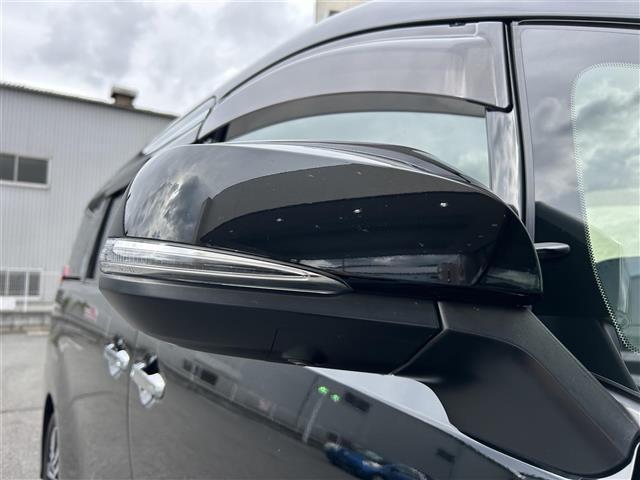 アルファード 2.5S Cパッケージ 黒革 Wサンルーフ JBLメーカーナビ フルセグTV CD DVD BT HDMI 純正フリップダウン パノラミックビュー ブラインドスポットモニタ 冷暖エアシート 両側電動 パワーバックドア 禁煙車(31枚目)