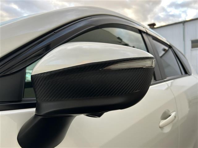 CX-5 25S Lパッケージ 革シート シートヒーター パワーシート 純正ナビ フルセグTV CD DVD BT バックカメラ 衝突軽減ブレーキ レーダークルコン ブラインドスポットモニタ ETC ドラレコ LEDライト 禁煙車(28枚目)