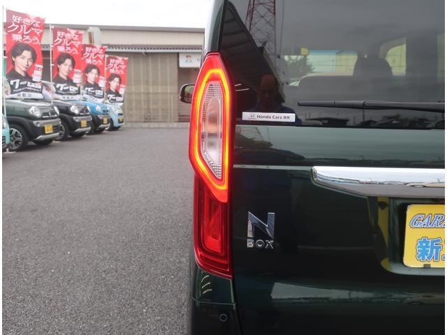 N-BOX L 純正ナビ フルセグ Bluetooth バックカメラ 衝突軽減ブレーキ パワースライド ブレーキホールド 電動パーキングブレーキ シートヒーター LEDヘッドライト アダクティブクルーズコントロール(51枚目)