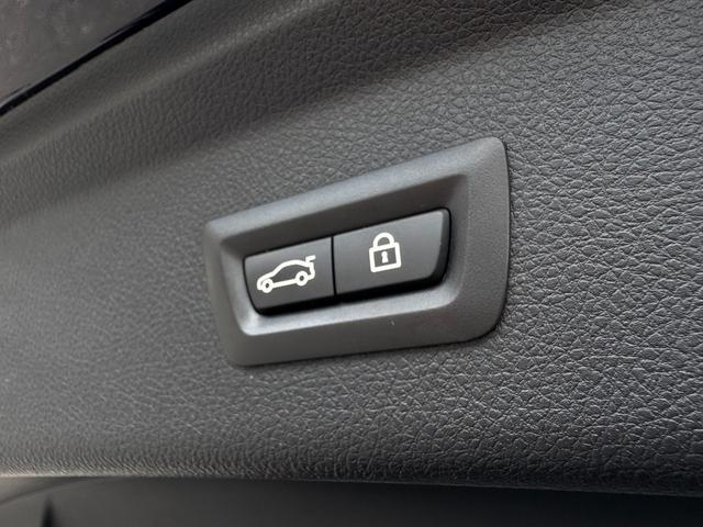 3シリーズ 320d xDrive グランツーリスモ Mスポーツ 純正ナビ/純正19インチアルミホイール/レザーシート/シートヒート/クルーズコントロール(35枚目)