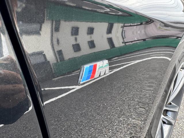 3シリーズ 320d xDrive グランツーリスモ Mスポーツ 純正ナビ/純正19インチアルミホイール/レザーシート/シートヒート/クルーズコントロール(61枚目)