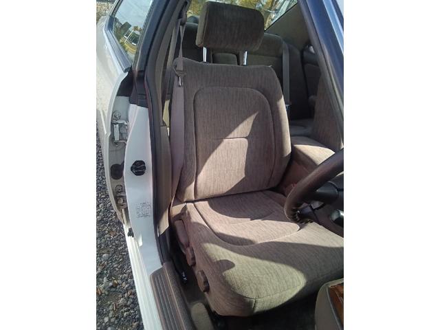 ローレル メダリスト(13枚目)