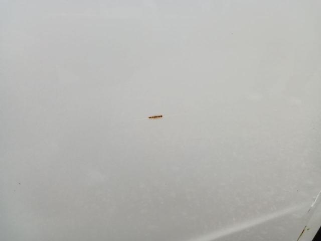 ルークス ハイウェイスターターボ　両側電動パワースライドドア　格納ミラー　Ｂｌｕｅｔｏｏｔｈ対応　ＡＵＸ　Ｓキー　ナビＴＶ　地デジ　セキュリティー　衝突安全ボディ　デュアルエアバック　エアコン　キーレスエントリー　ＤＶＤ再生　ＡＢＳ（25枚目）