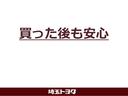 Ｇ　衝突回避軽減ブレーキ　踏み間違い制御装置　車線逸脱警報　オートハイビーム　バックモニター　両側電動スライドドア　ＬＥＤヘッドランプ　メモリーナビ　ワンセグＴＶ　ＣＤ再生　メディアプレイヤー接続（51枚目）