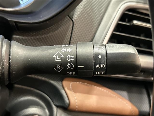 フォレスター アドバンス　アイサイト　純正８インチメーカーナビ　ＣＤ／ＤＶＤ／ＢＴ／ＵＳＢ／フルセグ　バックカメラ　サイドカメラ　パワーバックドア　レーダークルーズコントロール　レーンキープアシスト　ＬＥＤ（35枚目）