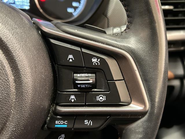 フォレスター アドバンス　アイサイト　純正８インチメーカーナビ　ＣＤ／ＤＶＤ／ＢＴ／ＵＳＢ／フルセグ　バックカメラ　サイドカメラ　パワーバックドア　レーダークルーズコントロール　レーンキープアシスト　ＬＥＤ（38枚目）