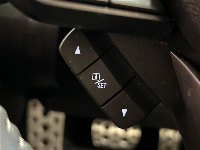 フォレスター アドバンス　アイサイト　純正８インチメーカーナビ　ＣＤ／ＤＶＤ／ＢＴ／ＵＳＢ／フルセグ　バックカメラ　サイドカメラ　パワーバックドア　レーダークルーズコントロール　レーンキープアシスト　ＬＥＤ（40枚目）