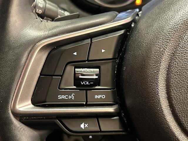 フォレスター アドバンス　アイサイト　純正８インチメーカーナビ　ＣＤ／ＤＶＤ／ＢＴ／ＵＳＢ／フルセグ　バックカメラ　サイドカメラ　パワーバックドア　レーダークルーズコントロール　レーンキープアシスト　ＬＥＤ（41枚目）