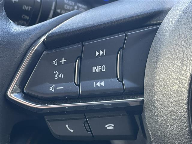 デミオ １３Ｓテーラードブラウン　純正ナビゲーション／バックカメラ／ＥＴＣ／前席シートヒーター／アドバンストスマートシティブレーキサポート／誤発進抑制制御／車線逸脱警報システム／ブラインドスポットモニター／クルーズコントロール（14枚目）