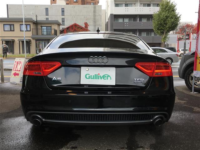 SB 2.0 TFSI クワトロ(9枚目)
