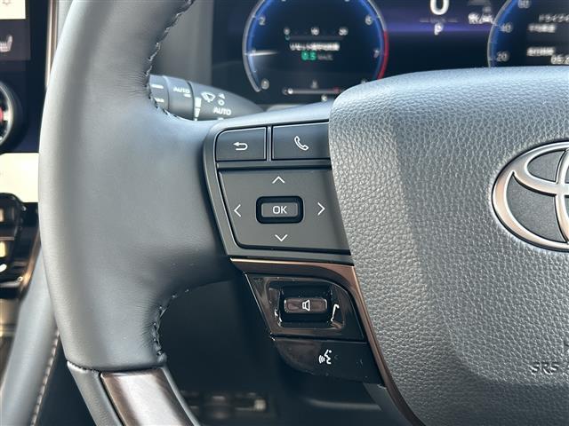 アルファード Z ワンオーナー 禁煙車 左右独立ムーンルーフ 両側パワースライドドア 置くだけ充電 スマートキー プッシュスタート ETC2.0 純正HDDナビ(DTV/BT/DVD/ラジオ) 保証書(10枚目)