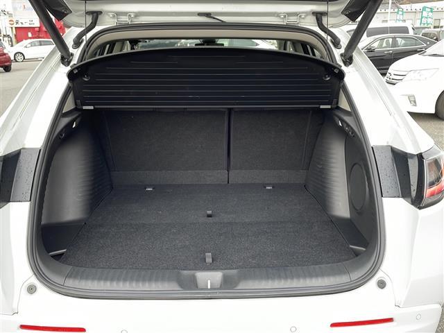 �y�g�����N���[���z�S���t�o�b�O�����[�\�ȑ�e�ʂ̃g�����N���[���ƂȂ��Ă���܂��B