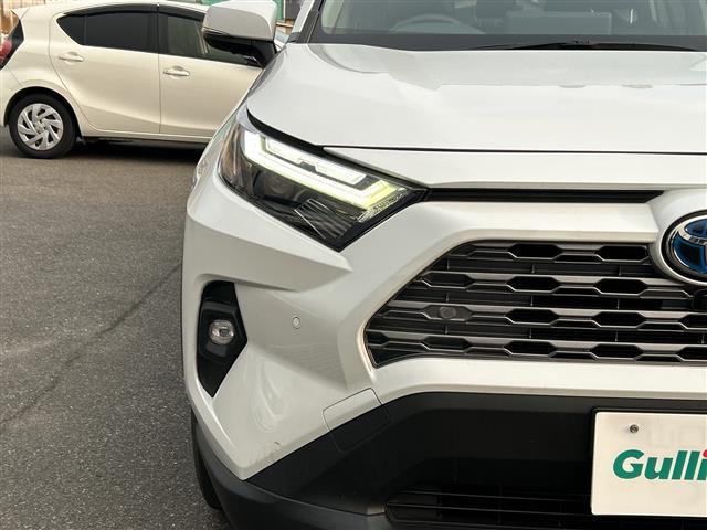 �y�k�d�c�w�b�h���C�g�z�n���Q�����C�g��g�h�c���C�g�ɔ�׎����������Ƃ����Ă���A�铹�����邭�Ƃ炵�Ă���܂��I�I