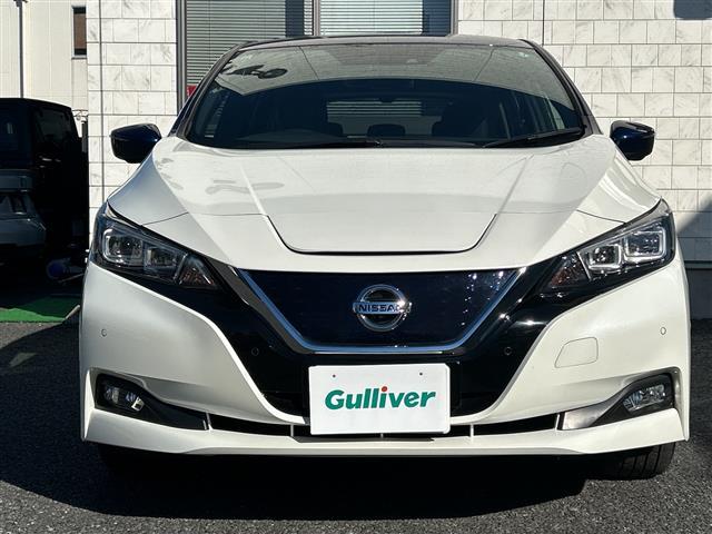 リーフ Ｇ　１オーナー　純正ナビ　ＦＭ／ＡＭ／ＵＳＢ／ＢＴ／ＴＶ／ＤＶＤ／ＣＤ　ＥＴＣ　シートヒーターＤＮ　ステアリングヒーター　追従クルコン　Ｐアシスト　３６０度カメラ　純正フロア　ＬＥＤヘッド　保証書　取説（28枚目）