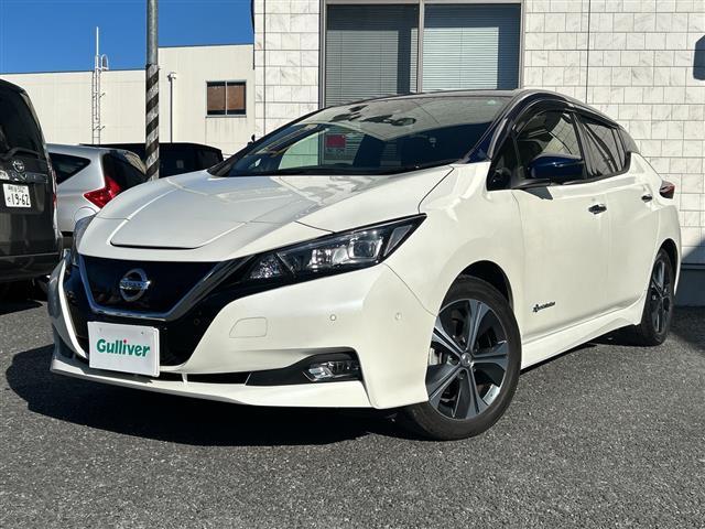 リーフ Ｇ　１オーナー　純正ナビ　ＦＭ／ＡＭ／ＵＳＢ／ＢＴ／ＴＶ／ＤＶＤ／ＣＤ　ＥＴＣ　シートヒーターＤＮ　ステアリングヒーター　追従クルコン　Ｐアシスト　３６０度カメラ　純正フロア　ＬＥＤヘッド　保証書　取説（33枚目）