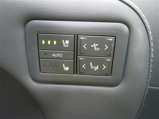 アルファード Z(23枚目)