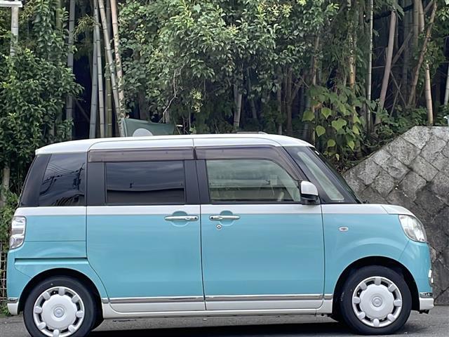 ムーヴキャンバス Ｘリミテッドメイクアップ　ＳＡＩＩ（27枚目）