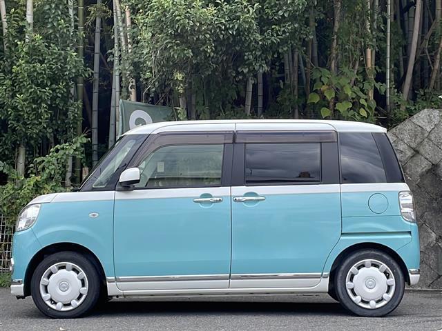 ムーヴキャンバス Ｘリミテッドメイクアップ　ＳＡＩＩ（31枚目）