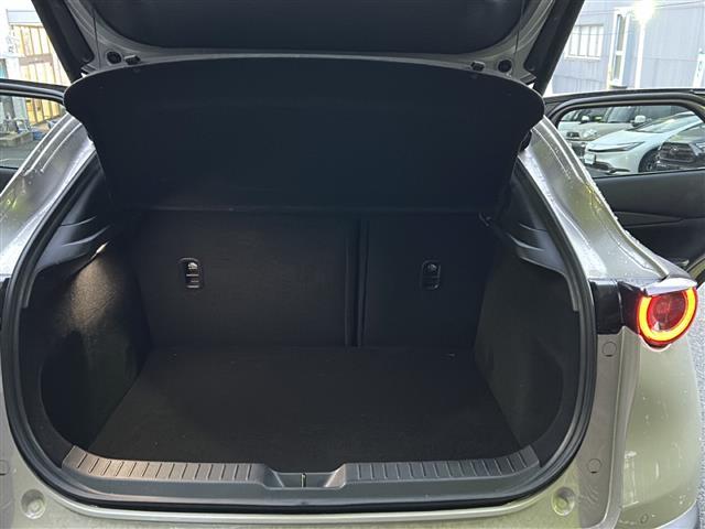 CX-30 XD プロアクティブ ツーリングセレクション ワンオーナー・純正メーカーオプションナビ・フルセグTV・BT Audio・CD・DVD・バック/サイド/フロントカメラ・360°ビューモニター・レーダークルーズコントロール・ETC・衝突軽減装置(24枚目)