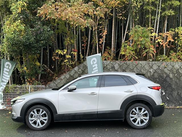 CX-30 XD プロアクティブ ツーリングセレクション ワンオーナー・純正メーカーオプションナビ・フルセグTV・BT Audio・CD・DVD・バック/サイド/フロントカメラ・360°ビューモニター・レーダークルーズコントロール・ETC・衝突軽減装置(28枚目)