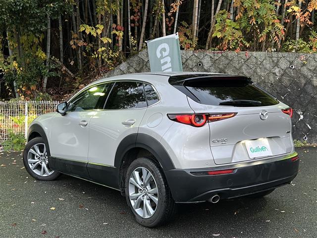 CX-30 XD プロアクティブ ツーリングセレクション ワンオーナー・純正メーカーオプションナビ・フルセグTV・BT Audio・CD・DVD・バック/サイド/フロントカメラ・360°ビューモニター・レーダークルーズコントロール・ETC・衝突軽減装置(29枚目)