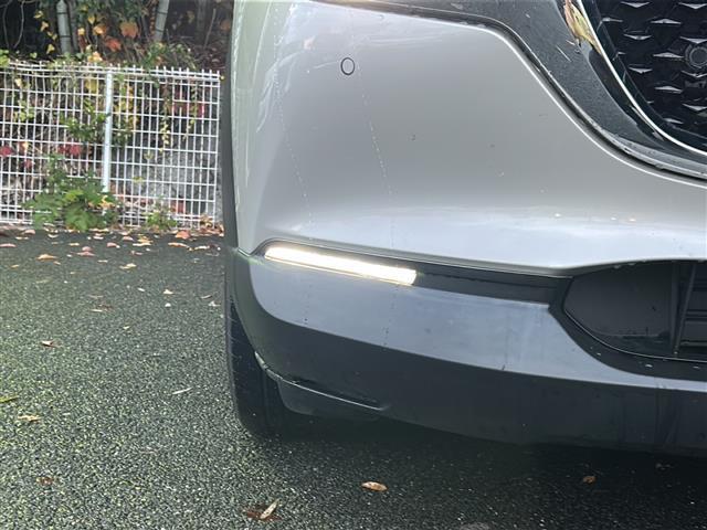 CX-30 XD プロアクティブ ツーリングセレクション ワンオーナー・純正メーカーオプションナビ・フルセグTV・BT Audio・CD・DVD・バック/サイド/フロントカメラ・360°ビューモニター・レーダークルーズコントロール・ETC・衝突軽減装置(35枚目)