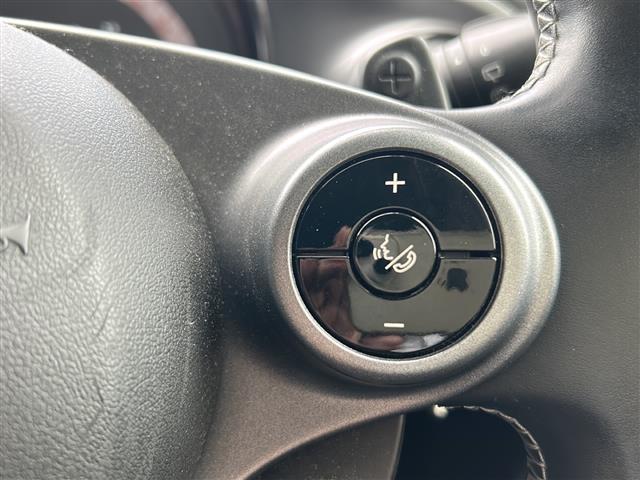 スマートフォーツークーペ BRABUS スポーツ Panasonicナビ・フルセグTV ・BT Audio・バックカメラ・クルーズコントロール・ETC・ガラスルーフ・衝突軽減装置・車線逸脱防止装置・コーナーセンサー・アイドリングストップ・パドルシフト(30枚目)