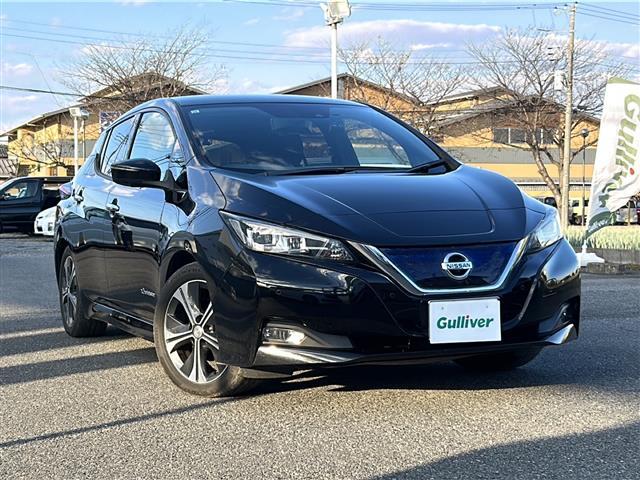 リーフ G(2枚目)