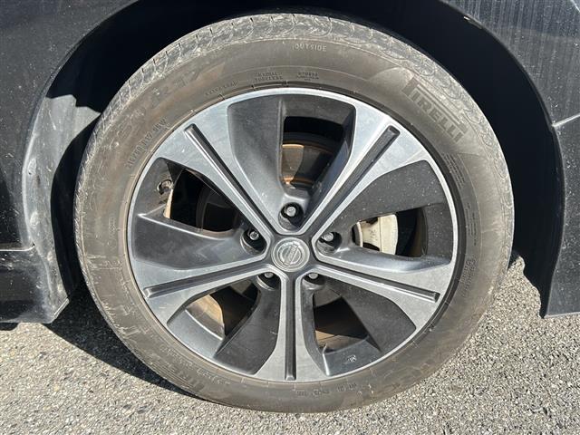 リーフ G(11枚目)