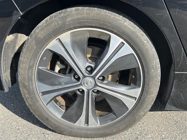 リーフ G(12枚目)