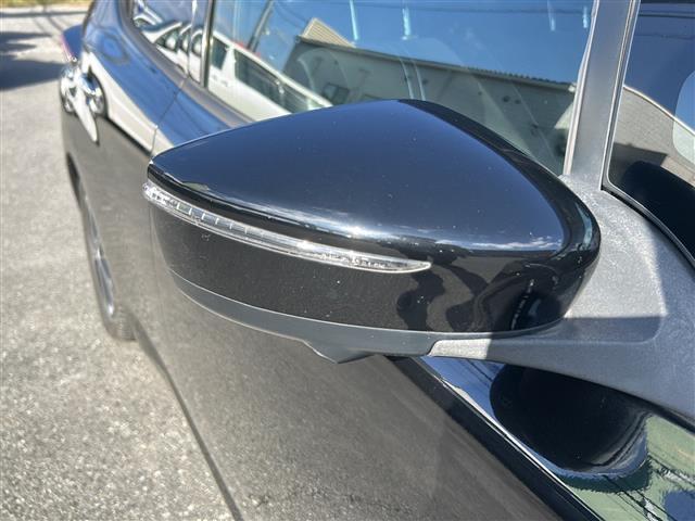 リーフ G(13枚目)