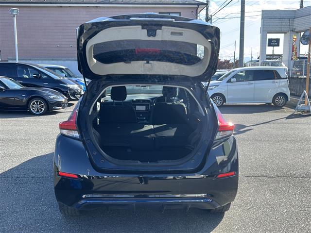 リーフ G(15枚目)