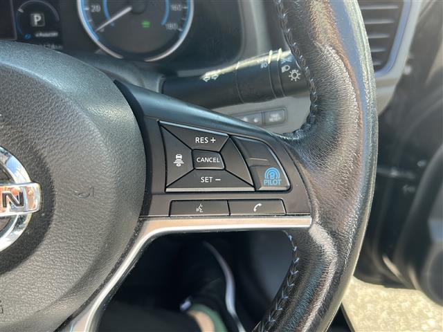 リーフ G(28枚目)