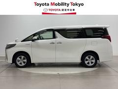 ҤǤϡΥեӥ³Ƥ󶡤Ǥա̡롦פΤͤؤ˸ꤵƤƤޤ 3