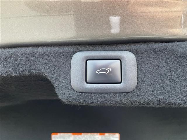 ＬＳ ＬＳ５００　バージョンＬ　サンルーフ　黒革シート　純正ナビ　全方位カメラ　ＥＴＣ２．０　デジタルインナーミラー　ＨＵＤ　前席マッサージ機能　純正２０インチＡＷ　純正エアサス　ＬＥＤライト　レクサスセーフティシステム＋（40枚目）