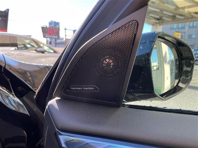 Ｘ３ Ｍ５０　ｘＤｒｉｖｅ　ガラスルーフ　茶革シート　ｈａｒｍａｎ／ｋａｒｄｏｎ　純正２１インチＡＷ　ＨＵＤ　レーダークルーズ　衝突軽減　ＬＫＡ　ＢＳＭ　純正ナビ　３６０°カメラ　ＥＴＣ　前後ドラレコ　ＡｐｐｌｅＣａｒＰｌａｙ（13枚目）