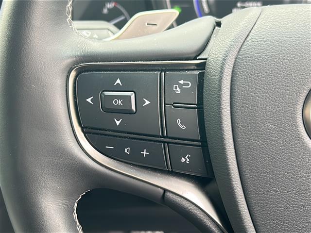 LS LS500h Iパッケージ ワンオーナー 純正ナビ フルセグ 全方位カメラ レザーシート シートヒーター シートベンチレーター ステアリングヒーター アダプティブクルーズコントロール レーンキープ オートマチックハイビーム(10枚目)