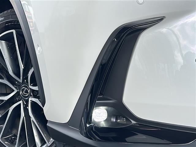 ＮＸ ＮＸ３５０ｈ　バージョンＬ（37枚目）