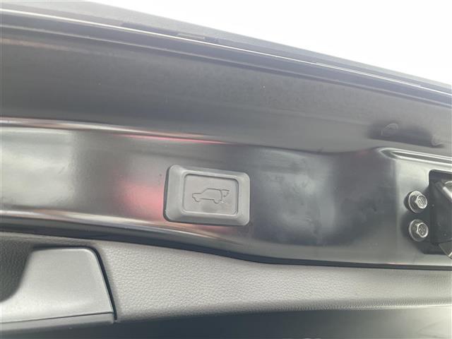 ＲＡＶ４ Ｇ　ワンオーナー／純１０型メモリナビ／フルセグＴＶ／全方位モニタ／黒革電動シート／シートヒータ／エアシート／ハンドルヒータ／ＡＣＣクルコン／電動バックドア／ビルトインＥＴＣ２．０／ＰＣＳ／ＬＴＡ／ＢＳＭ（28枚目）