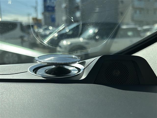 アルファード 2.5S Cパッケージ NEWSフルエアロ WORK20インチアルミホイール 社外SDナビ(アルパイン) フルセグテレビ バックカメラ ETC フリップダウンモニター(アルパイン)トゥイーター・サブウーファー(アルパイン)(8枚目)