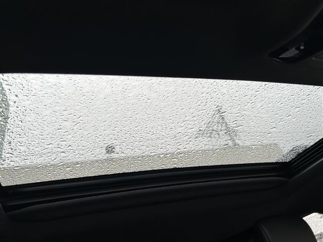 ランドクルーザー250 VX 1オーナー 純正ナビ サンルーフ マットガード(25枚目)