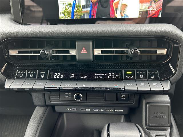 ランドクルーザー250 VX 1オーナー 純正ナビ サンルーフ マットガード(30枚目)