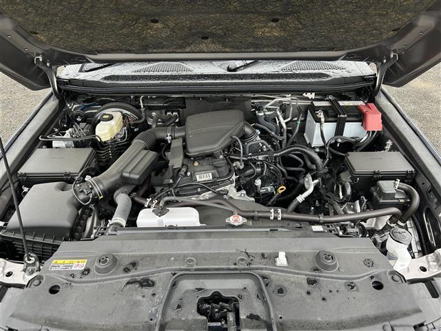 ランドクルーザー250 VX 1オーナー 純正ナビ サンルーフ マットガード(33枚目)