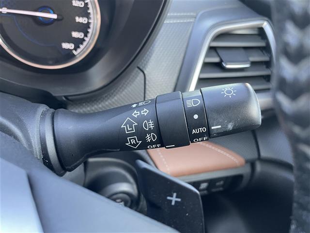 フォレスター アドバンス　サンルーフ　ルーフレール　追従クルーズコントロール　オートビークルホールド　純正アルミホイール　レザーシート　バックカメラ　サイドカメラ　デジタルインナーミラー　電動パーキングブレーキ（17枚目）