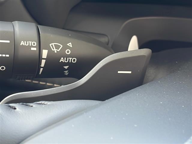 アルファードハイブリッド Ｚ　☆ワンオーナー☆１４インチディスプレイオーディオプラス☆ＥＴＣ２．０☆左右独立ムーンルーフ☆デジタルインナーミラー☆パワーシート（前席）☆セーフティセンス（予防安全パッケージ）（28枚目）