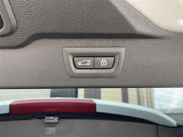 X5 xDrive 35d Mスポーツ(17枚目)