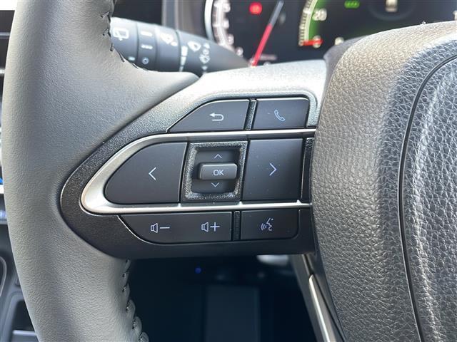 ヴォクシー Ｓ－Ｚ（30枚目）